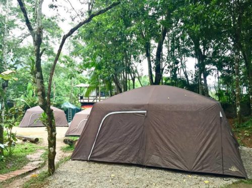 camping sitio simple life-itamambuca-ubatuba-sp-7