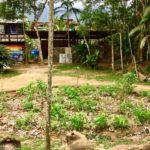camping sitio simple life-itamambuca-ubatuba-sp-8
