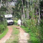 camping sitio são francisco-Benevides-PA-1