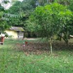 camping sitio são francisco-Benevides-PA-3