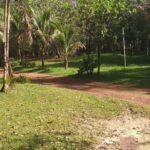camping sitio são francisco-Benevides-PA-4