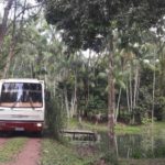 camping sitio são francisco-Benevides-PA-6