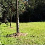 Apoio RV – Villa Grüntal – Treze Tílias-1