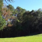 Apoio RV – Villa Grüntal – Treze Tílias-2