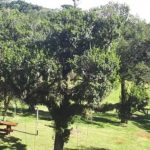 Apoio RV – Villa Grüntal – Treze Tílias-5