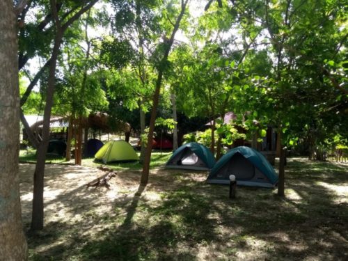 Camping Aldeia Maracajaú - Maxaranguape - SE 40