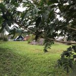 Camping Bela Vista-Lavras Novas-MG-5