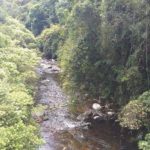 Camping Cachoeira dos Ciganos-São José dos Pinhais-PR-3