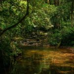 Camping Cachoeira dos Ciganos-São José dos Pinhais-PR-4