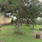 Camping Canto da Cambaxirra-Alto Paraíso de Goiás-GO-3