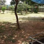 Camping Canto da Cambaxirra-Alto Paraíso de Goiás-GO-8