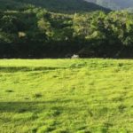 Camping Point Beira Rio-Casemiro de Abreu-RJ-1