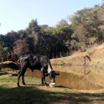 Camping Pousada Estância Cascalheira-itabirito-mg-6