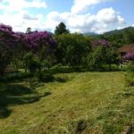 Camping Remanso-açu-Blumenau-sc-10