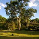 Camping Remanso-açu-Blumenau-sc-14