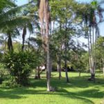 Camping Remanso-açu-Blumenau-sc-4