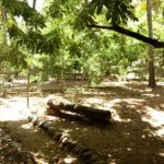 Camping Seu Manoel-Mata de São João-BA-2