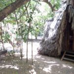 Camping Seu Manoel-Mata de São João-BA-3