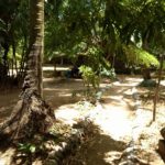 Camping Seu Manoel-Mata de São João-BA-4