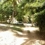 Camping Seu Manoel-Mata de São João-BA-7