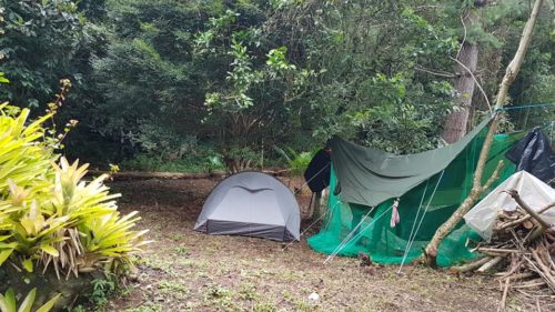Camping Vale da Paz Selva (fechado temporariamente)
