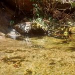 Camping Vale da Paz Selva-Petrópolis-RJ-7