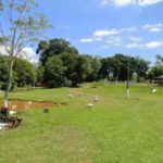 Camping da Aurânia-Tamarana-PR-1