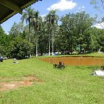 Camping da Aurânia-Tamarana-PR-2