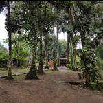 Camping das Palmeiras-ilha grande-rj-2
