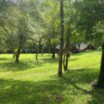 Camping do Alambique-Vista Alegre do Prata-RS-5