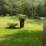 Camping do Alambique-Vista Alegre do Prata-RS-7