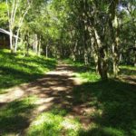 Camping do Alambique-Vista Alegre do Prata-RS-9