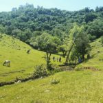 Camping dos Wolff-rolante-rs-1