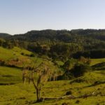 Camping dos Wolff-rolante-rs-8