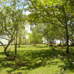 Camping guiomarana -fartura-sp-2