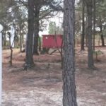camping Itabirito-MG-2