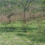 camping catana da serra-Itabirito-MG-4