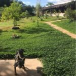 camping extremo-Mateiros-Jalapão-TO-31