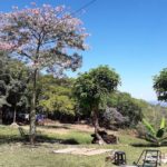 camping umay-São Jorge- Chapada dos Veadeiros-GO-1