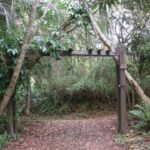 Camping Casa Gardênia-Mogi da cruzes-sp-2