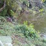 Camping Casa Gardênia-Mogi da cruzes-sp-3