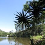 Camping Casa Gardênia-Mogi da cruzes-sp-4