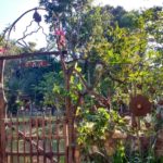 Camping Nomadas-Bonito-MS 15