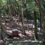 Camping Passo Velho do Afonso-nova araça-RS-5