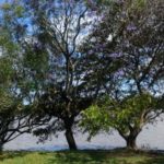 Camping Porto Batista-triunfo-rs-3