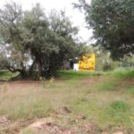 Camping Selvagem – Estaleiro – Triunfo4
