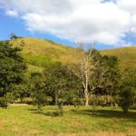 Camping Sítio Dona Darcy-Vassouras-RJ-4
