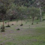Camping Sítio Dona Darcy-Vassouras-RJ-6
