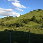 Camping Sítio Dona Darcy-Vassouras-RJ-7
