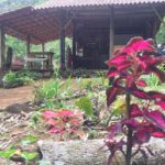 Camping Sítio Raiz da Mata-Divino de São Lourenço-ES-1